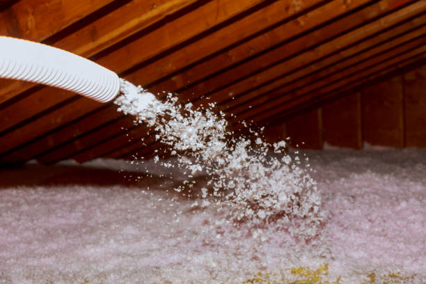 Insulation Inspection Services in White Oak, TX