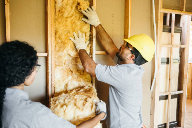 Best Insulation Contractor Near Me  in White Oak, TX