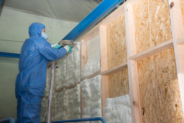 Best Spray Foam Insulation  in White Oak, TX