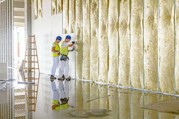Best Local Insulation Services  in White Oak, TX